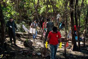 Galeria de Imagens