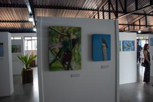 Galeria de Imagens