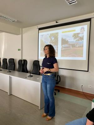 Galeria de Imagens