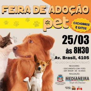 Foto Notícia