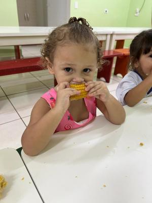 Galeria de Imagens