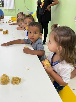 Galeria de Imagens