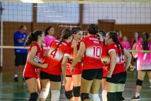 Galeria de Imagens