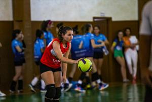 Galeria de Imagens