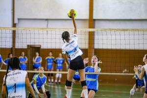 Galeria de Imagens