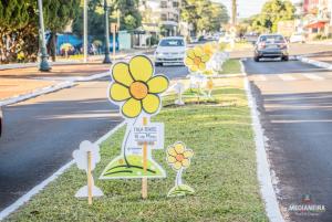 Galeria de Imagens