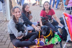 Galeria de Imagens