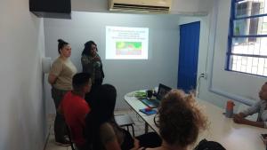 Galeria de Imagens