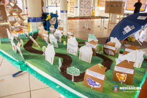 Galeria de Imagens