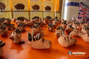 Galeria de Imagens