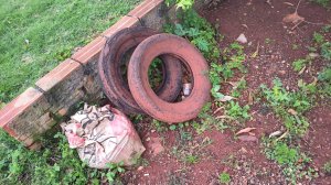 Galeria de Imagens