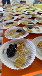 Galeria de Imagens